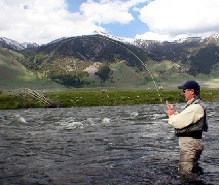 fishing in a river