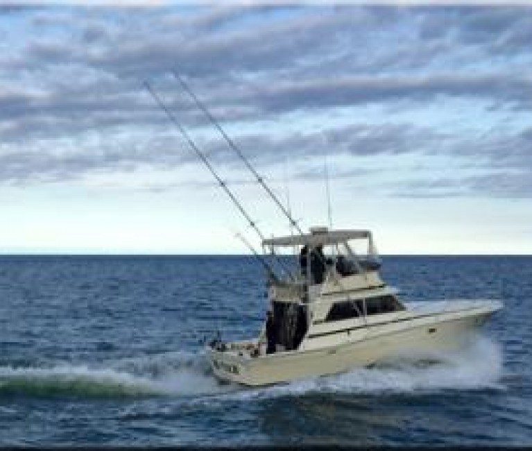hitechchartersfishingboat4 344x232